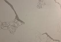 GEM Calacatta Milan 1922