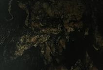 Titanium Gold/Orinoco